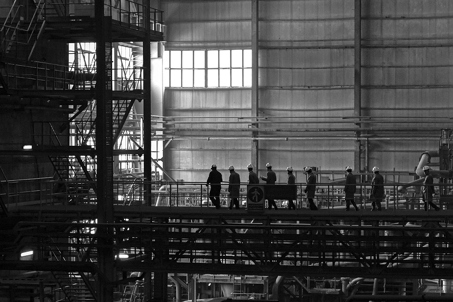 wellness monitoring platform, employee support tools, financial management interface